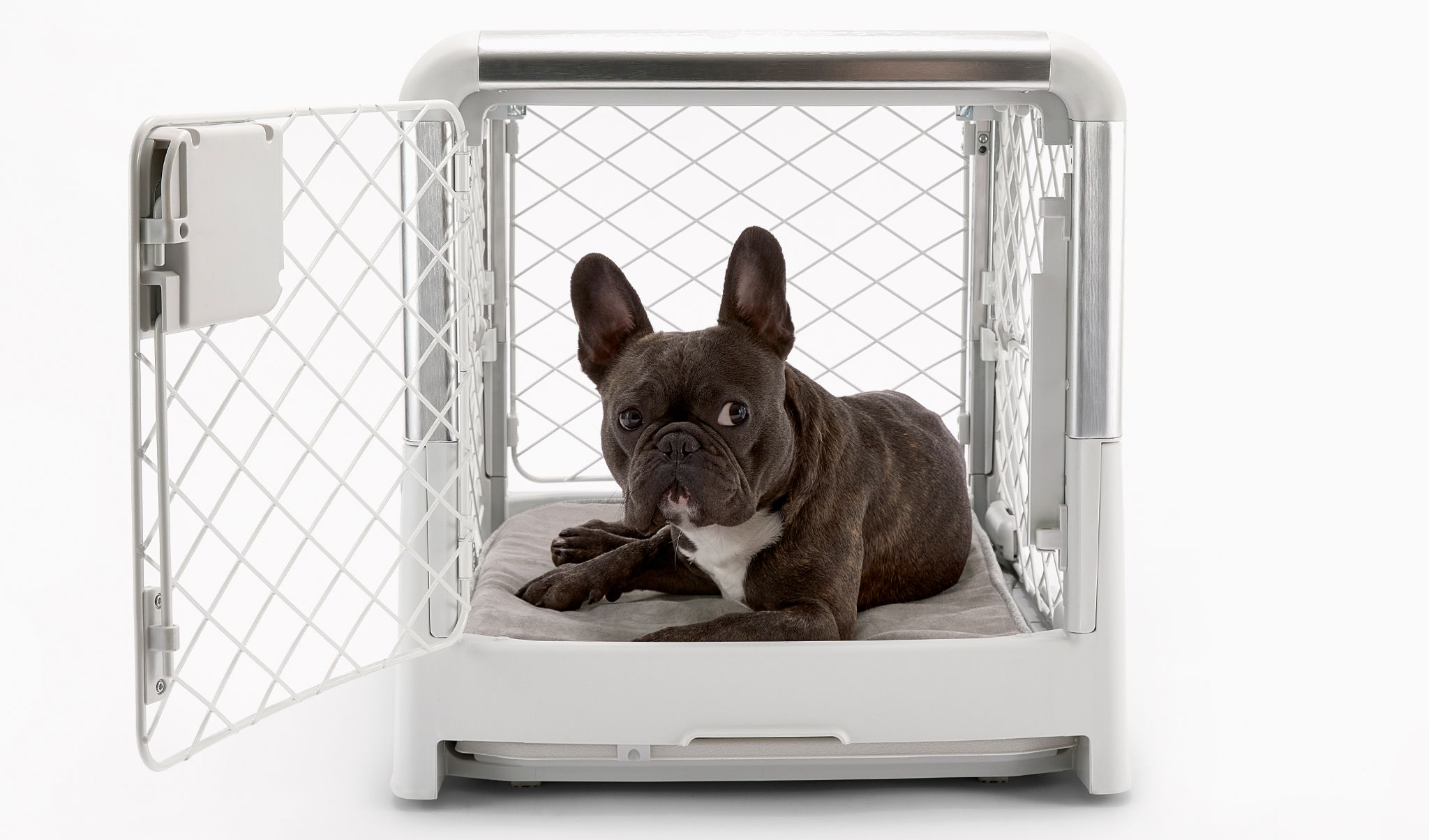 The best folding dog crate Diggs