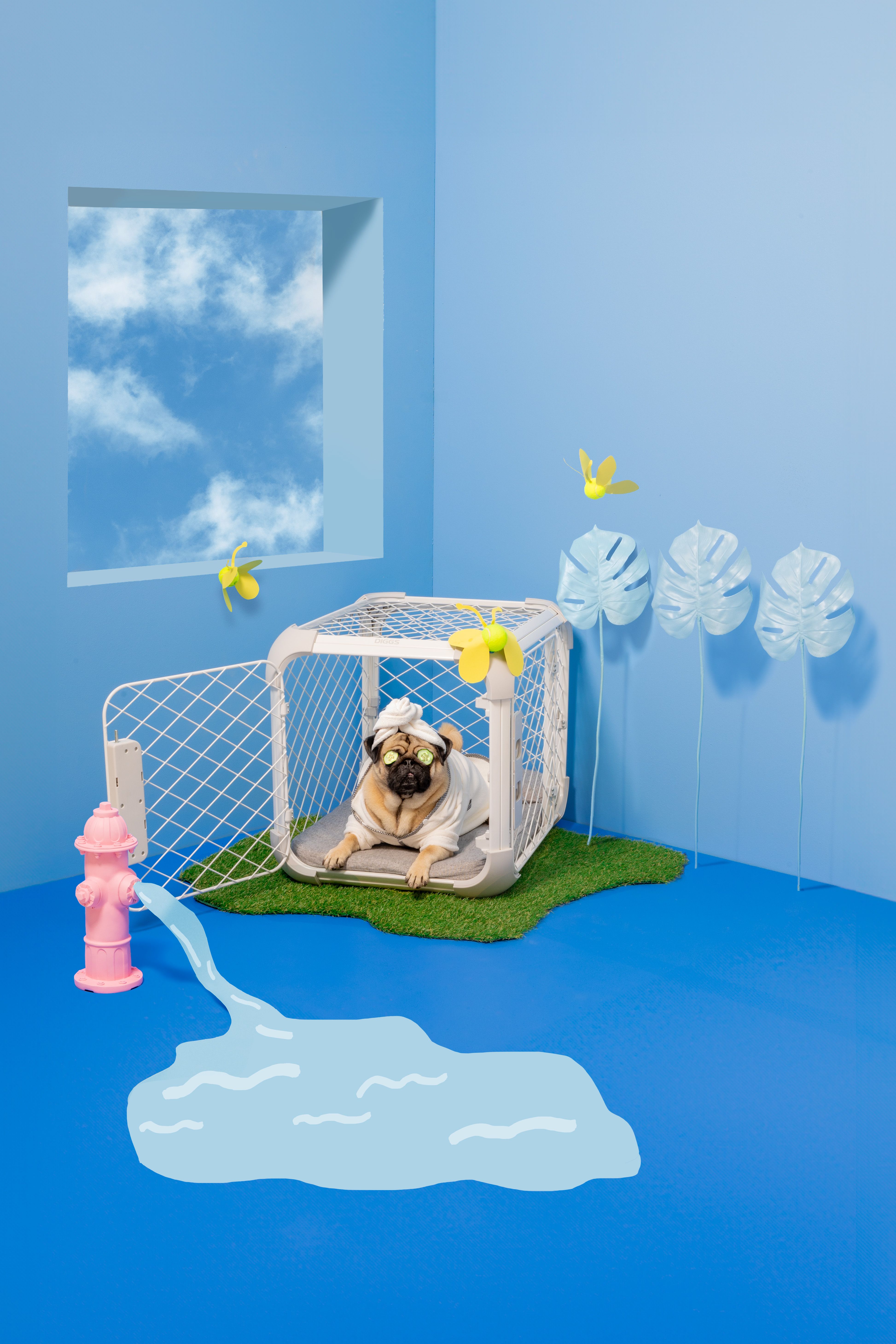 Adopt Pets For the First Time in Game of Life: Pet Edition - The