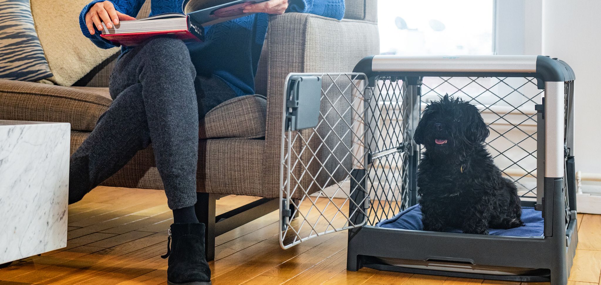 Setting Up Your Dog's Crate for Comfort & Safety