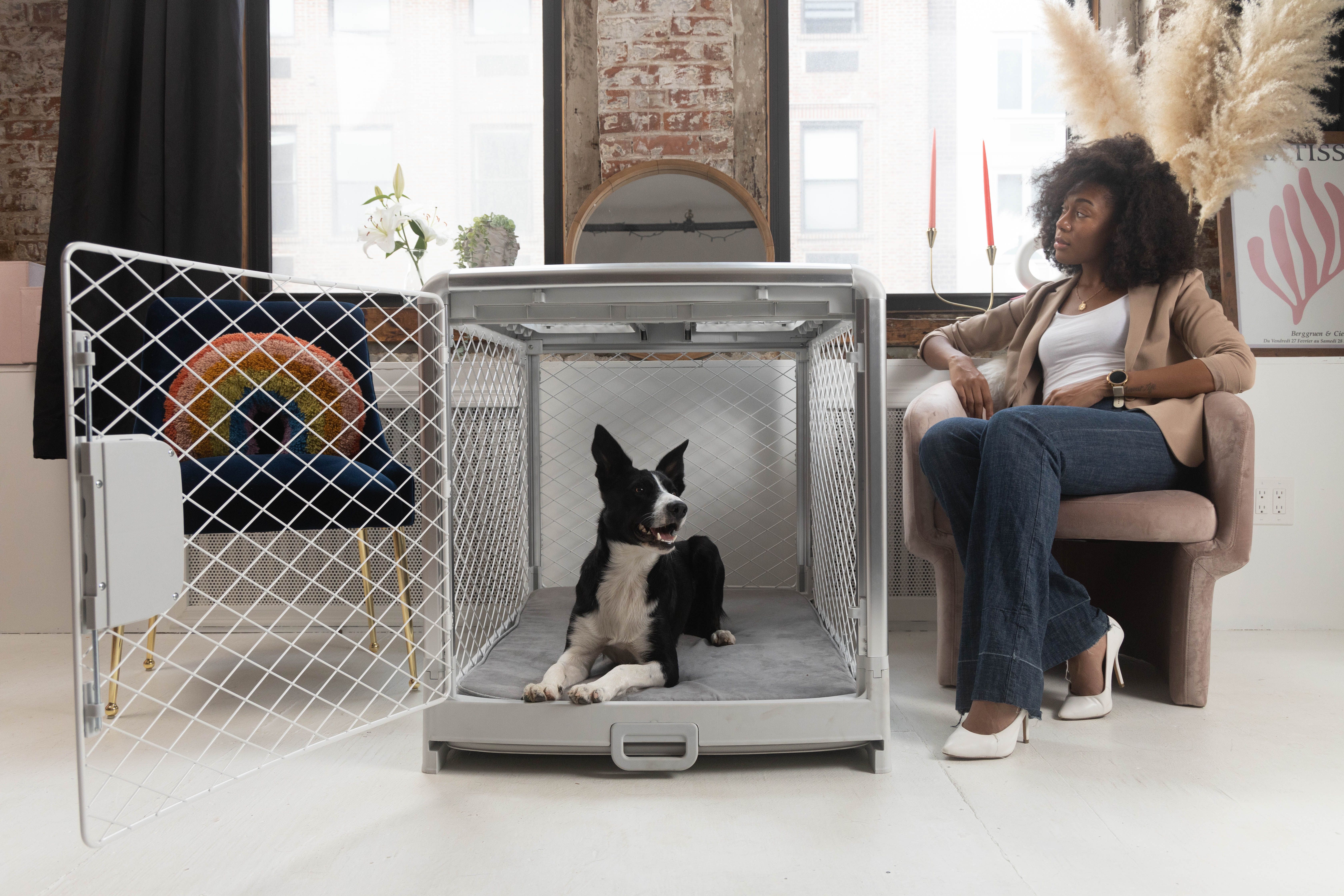 Crate Training Regression What Can You Do About It? Diggs