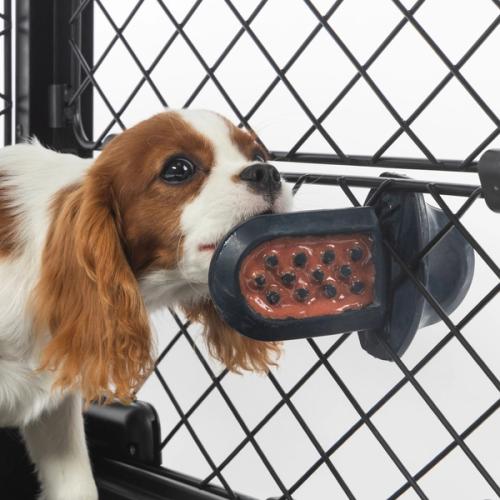 Groov Dog Training Toy Treat Dispenser, Crate Training Aids for