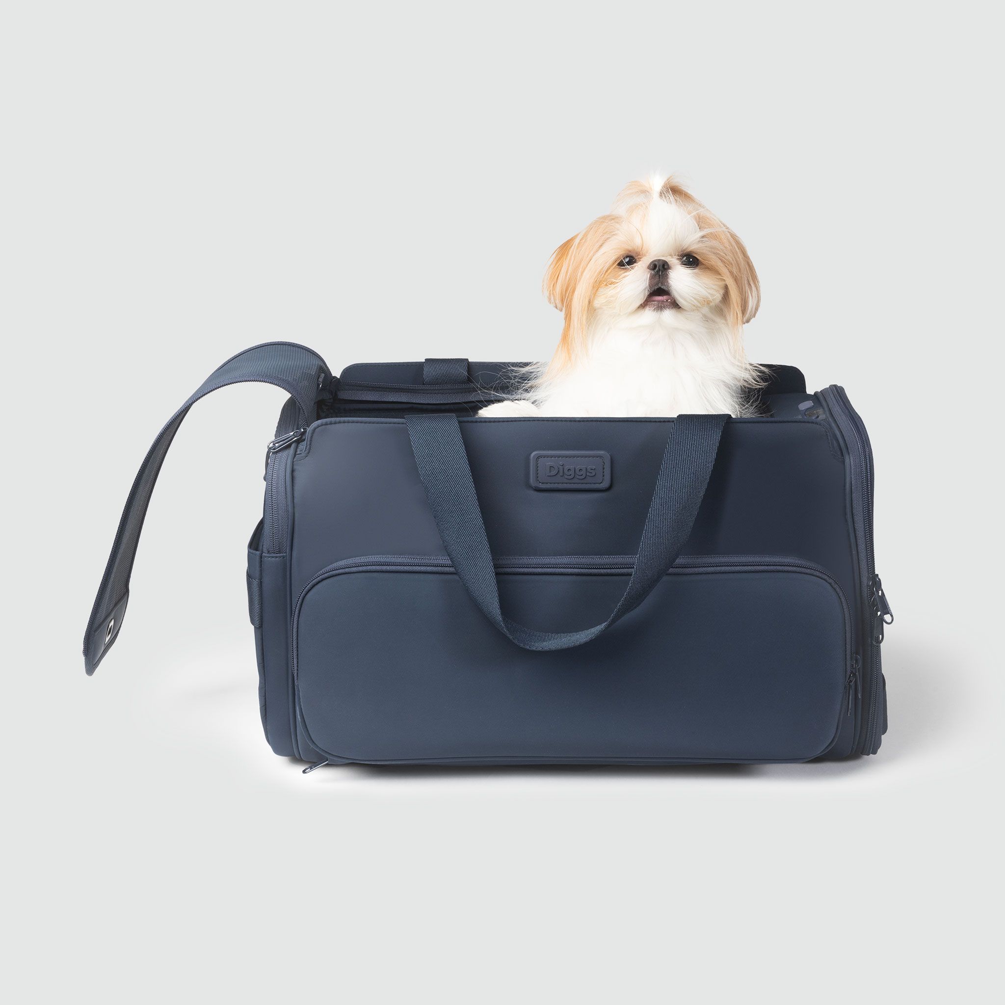 A small dog sitting inside of a blue Passenger pet carrier bag