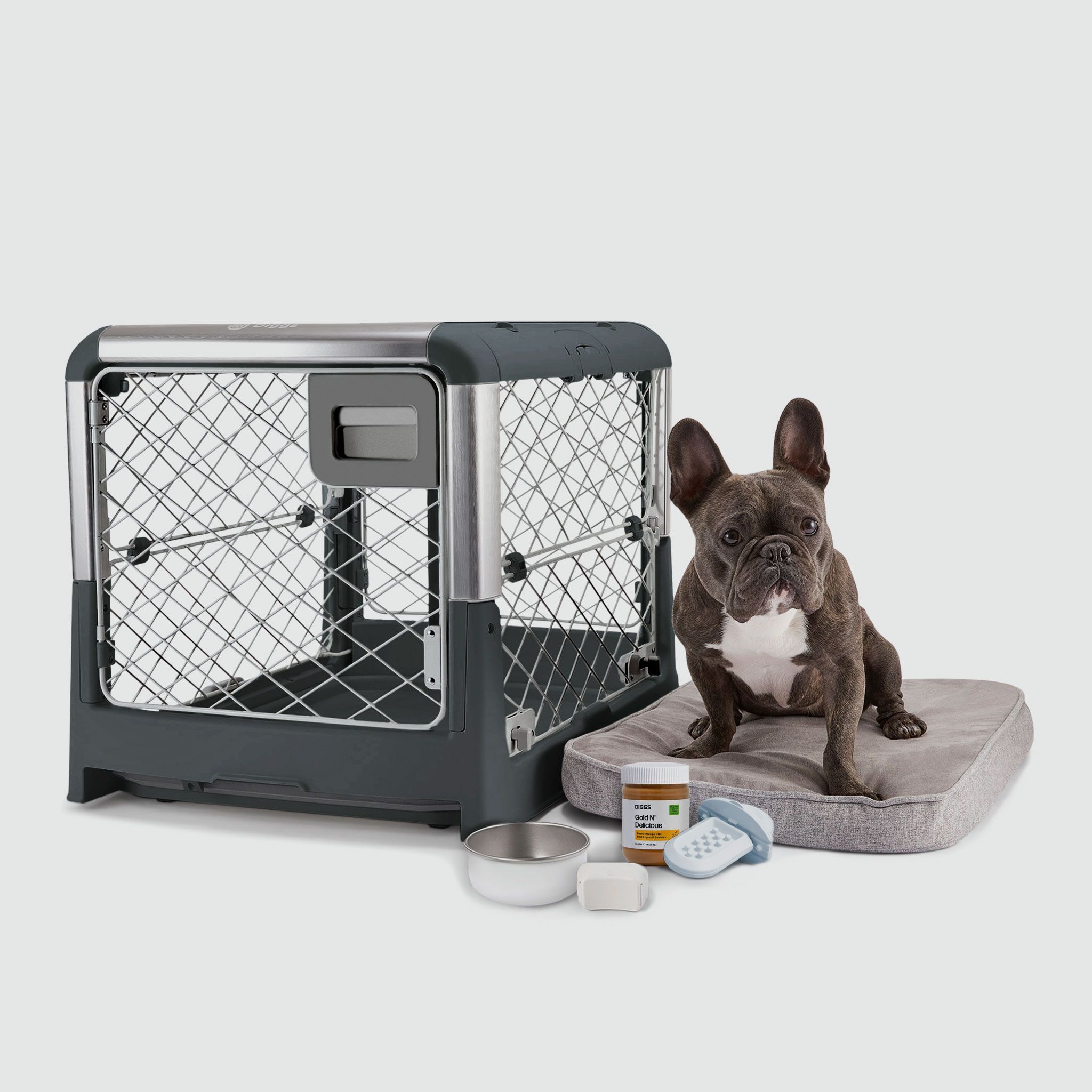 What To Put in Dog Crates: Comfort & Safety Tips - Diggs