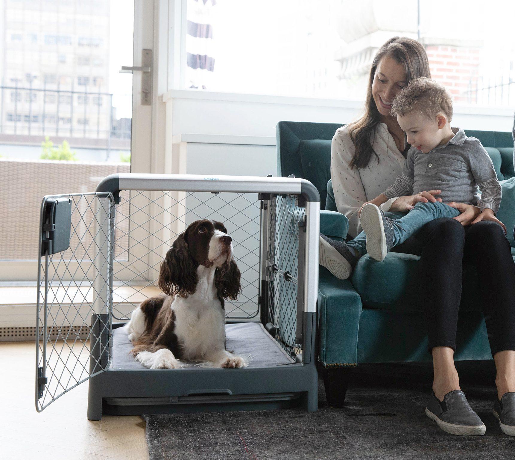 All about Diggs, the pet product innovators