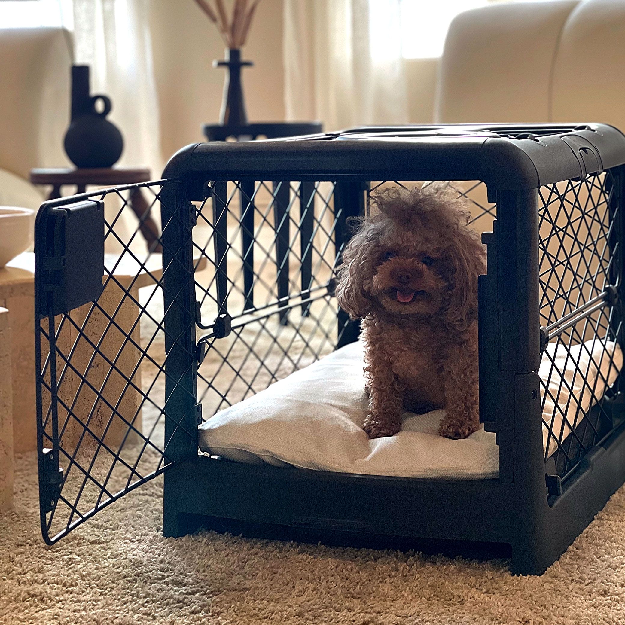 Dog digging in on sale crate