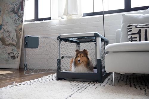 How to Clean a Dog Crate, an Easy Helpful Guide, and Tips