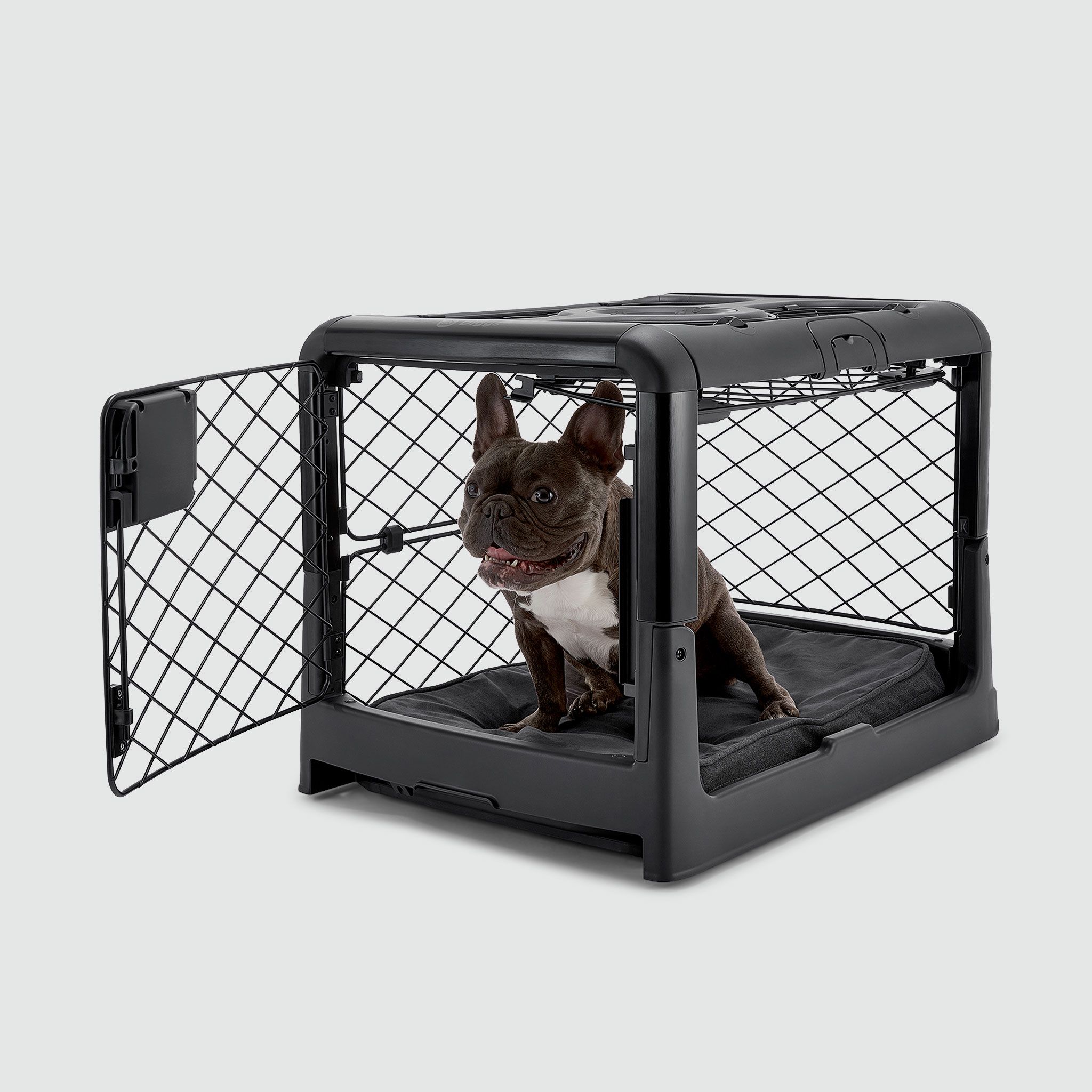A small dog sitting inside of a dog crate