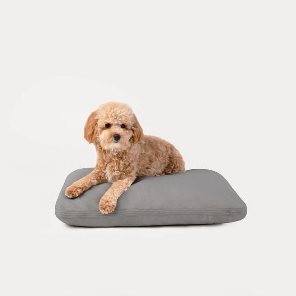 Chenille Sleeper Cushions  Dog Gone Smart Pet Products Reseller Portal