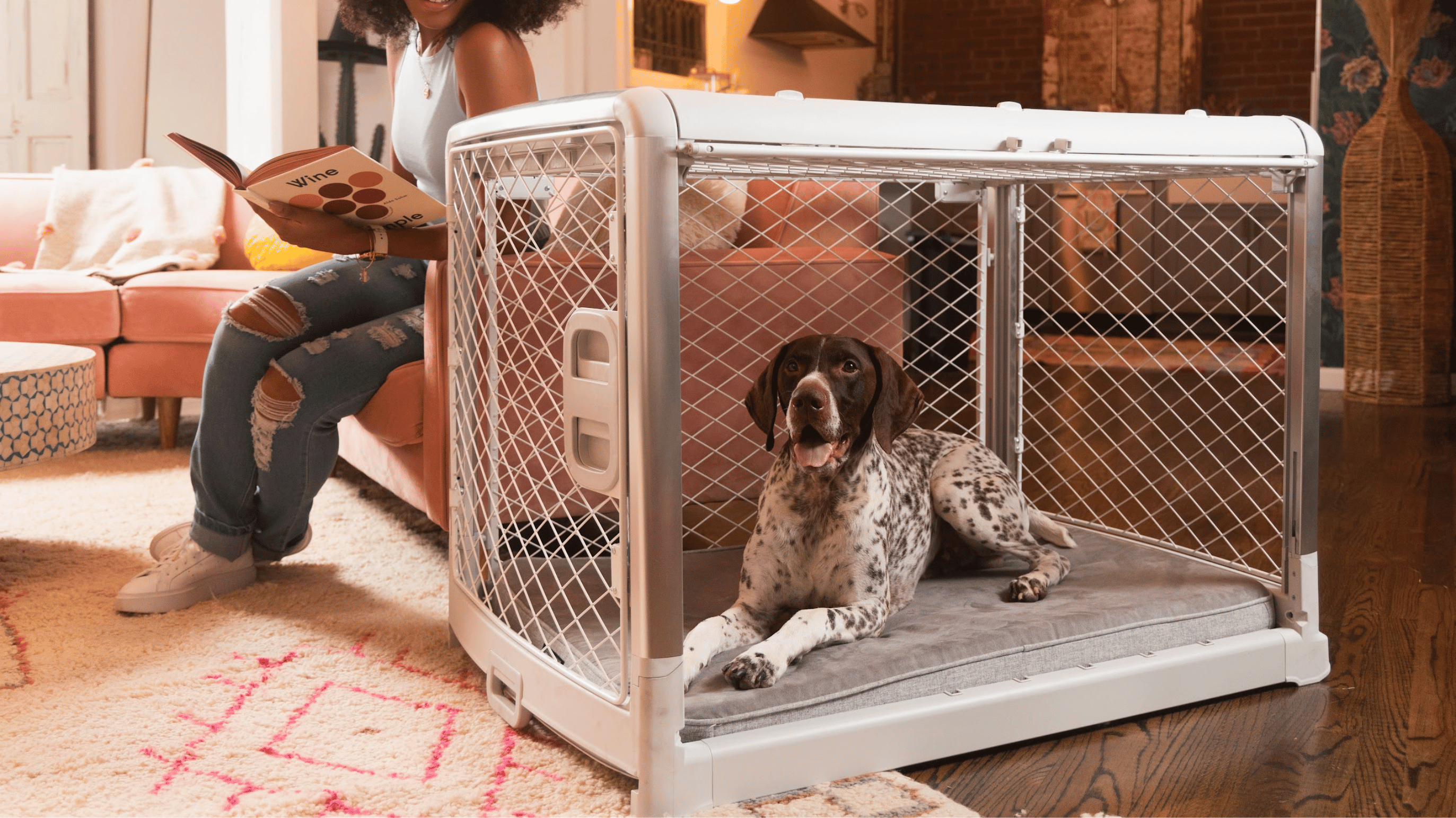 The Best Dog Crates Diggs Dog Crate Comparison Guide Diggs