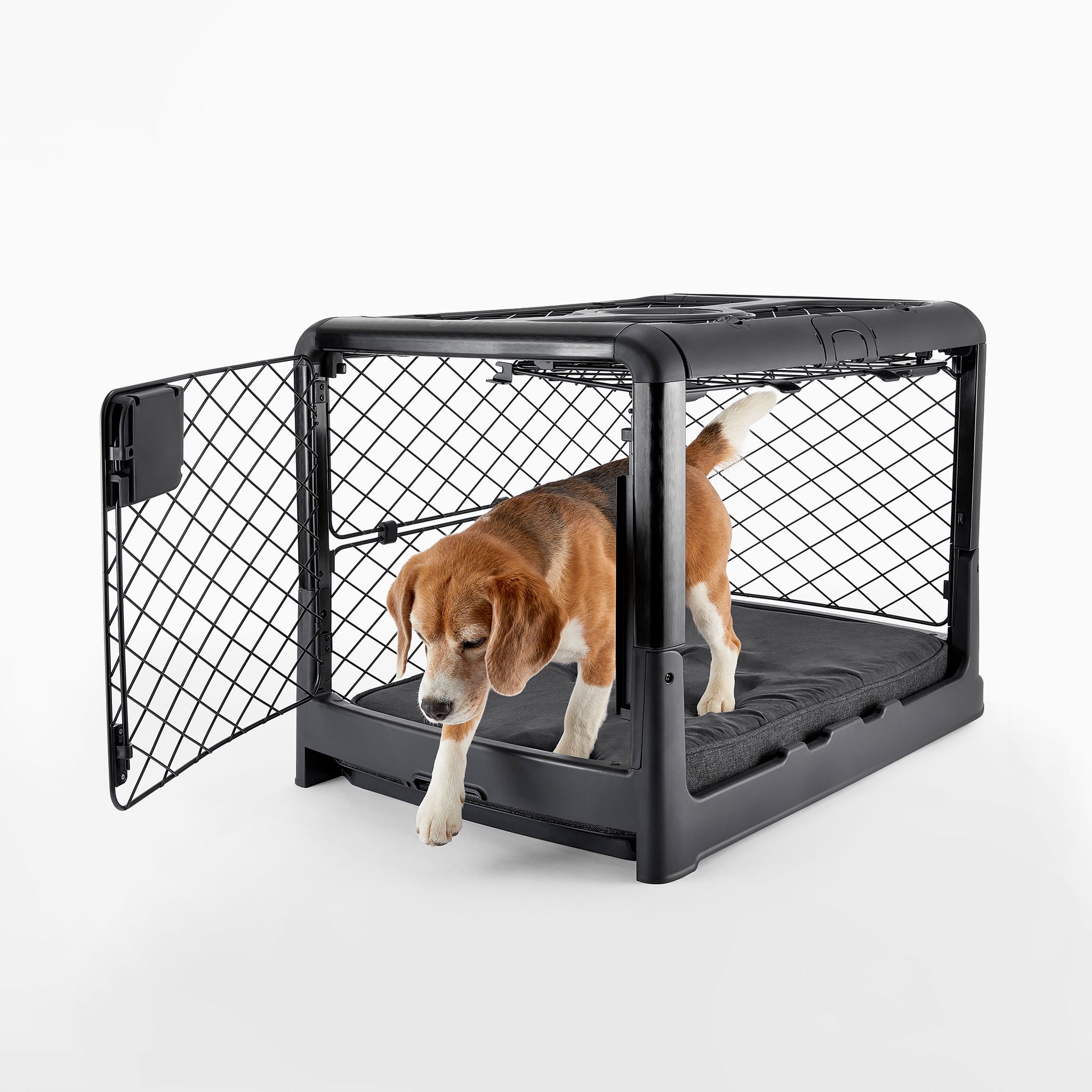 Groov Dog Training Toy Treat Dispenser, Crate Training Aids for