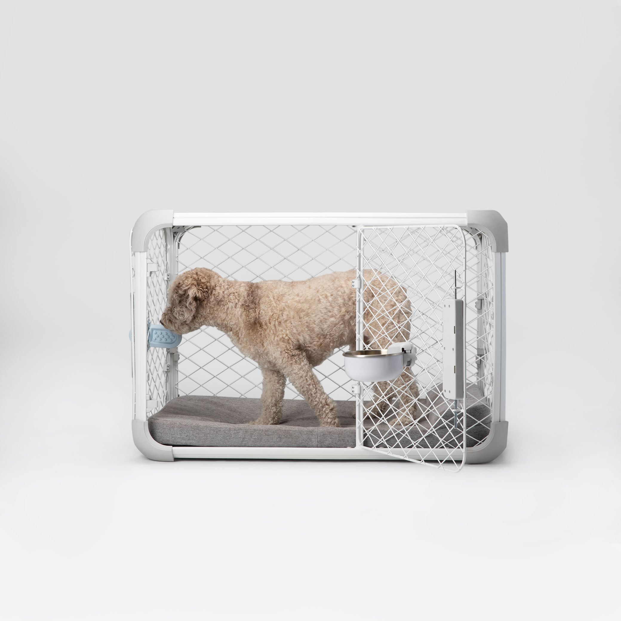 Side view of dog inside of Evolv Dog Crate with open side door. Diggs Crate Bowl, Groov Training Aid, and Bolstr Dog Bed are in use inside the crate.