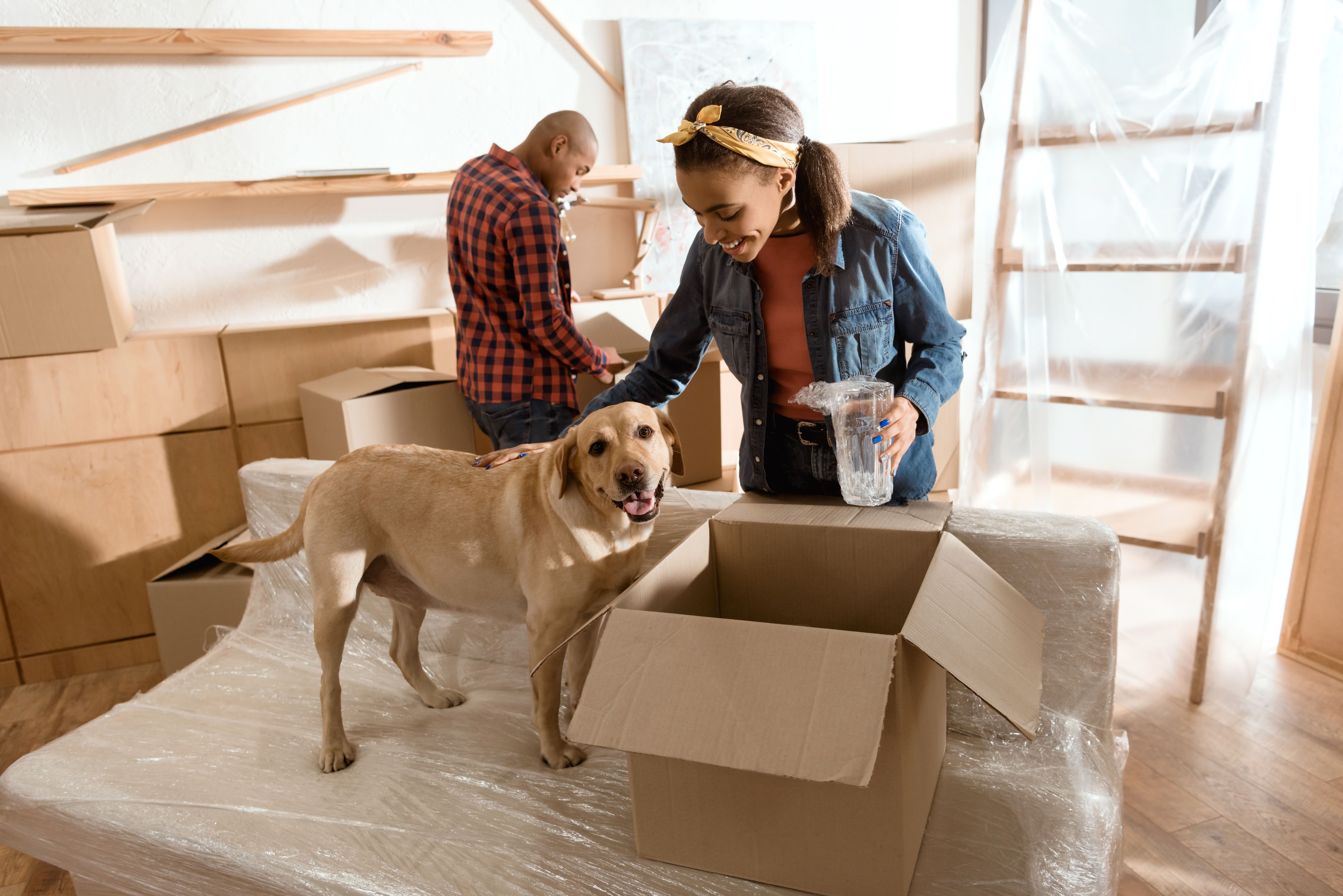 How To Help a Dog Adjust to a New Home A Guide Diggs