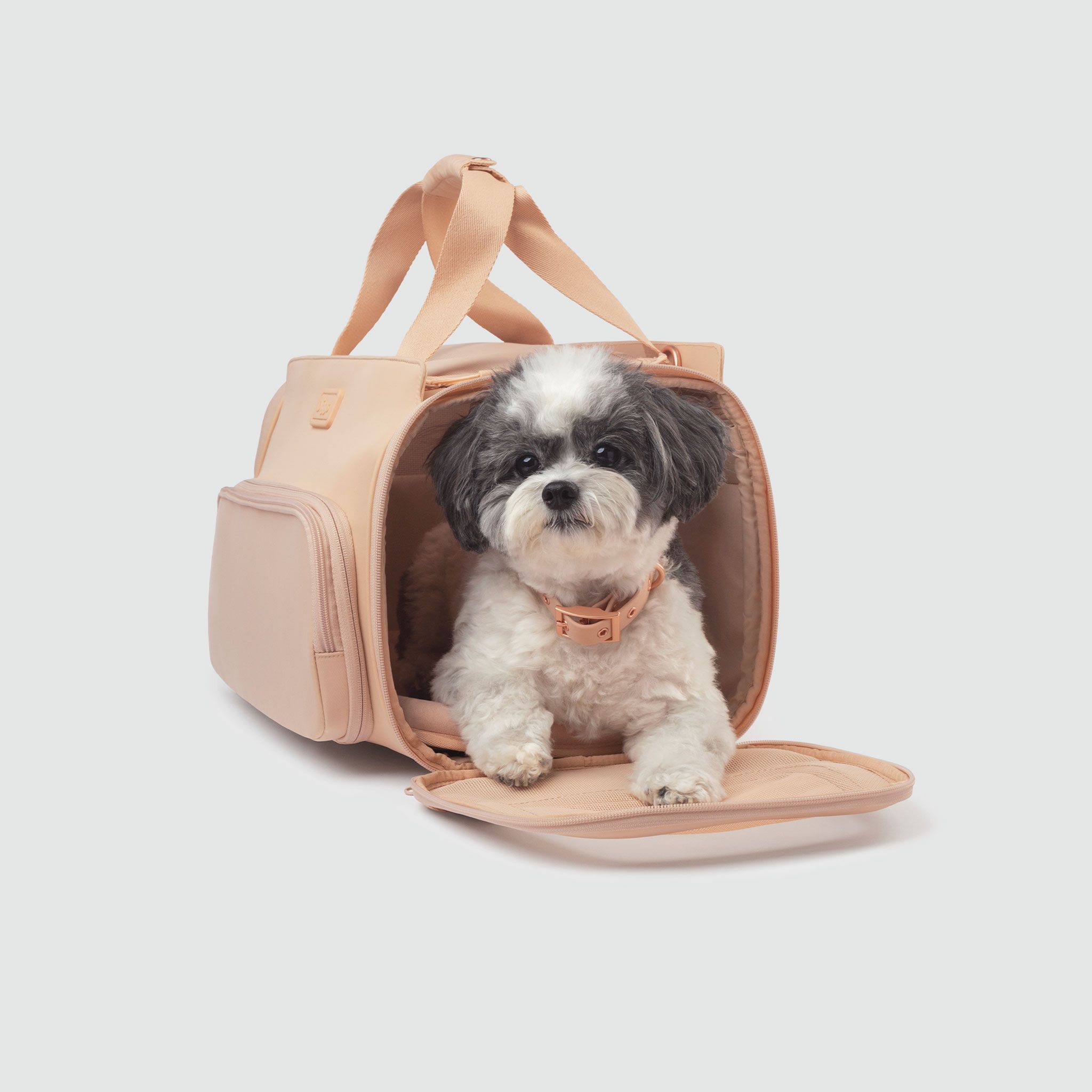 Diggs Passenger Travel Dog Carrier – Store For The Dogs