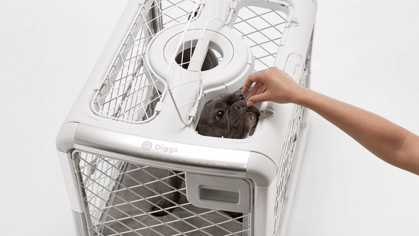 Dog Crate Anxiety 8 Ways To Reduce Anxiety Diggs