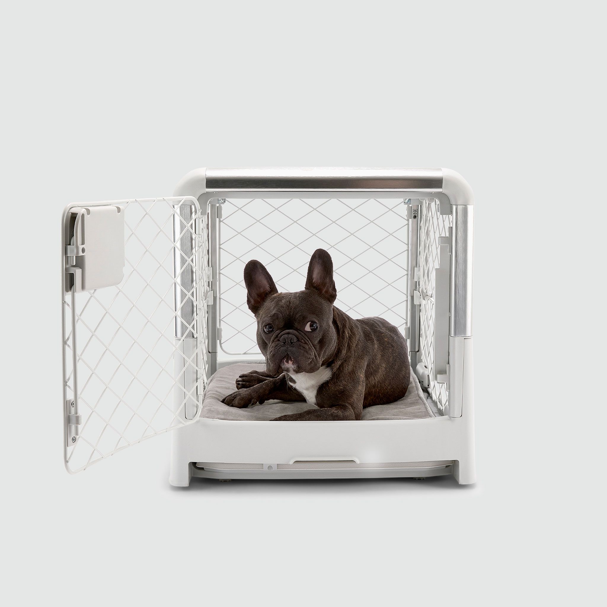 Essential Puppy Crate Training Products