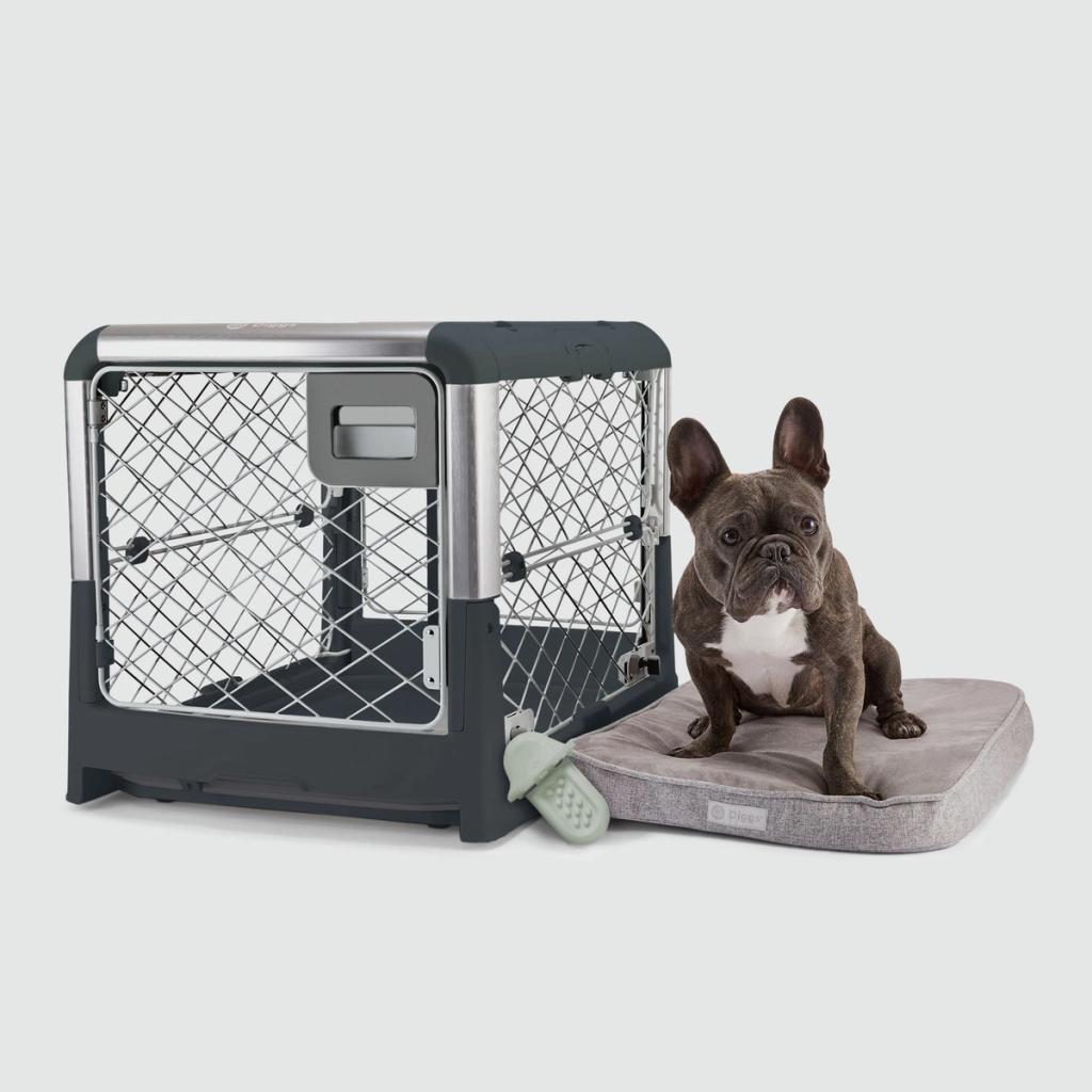 Crate Training a Puppy While at Work A Guide Diggs