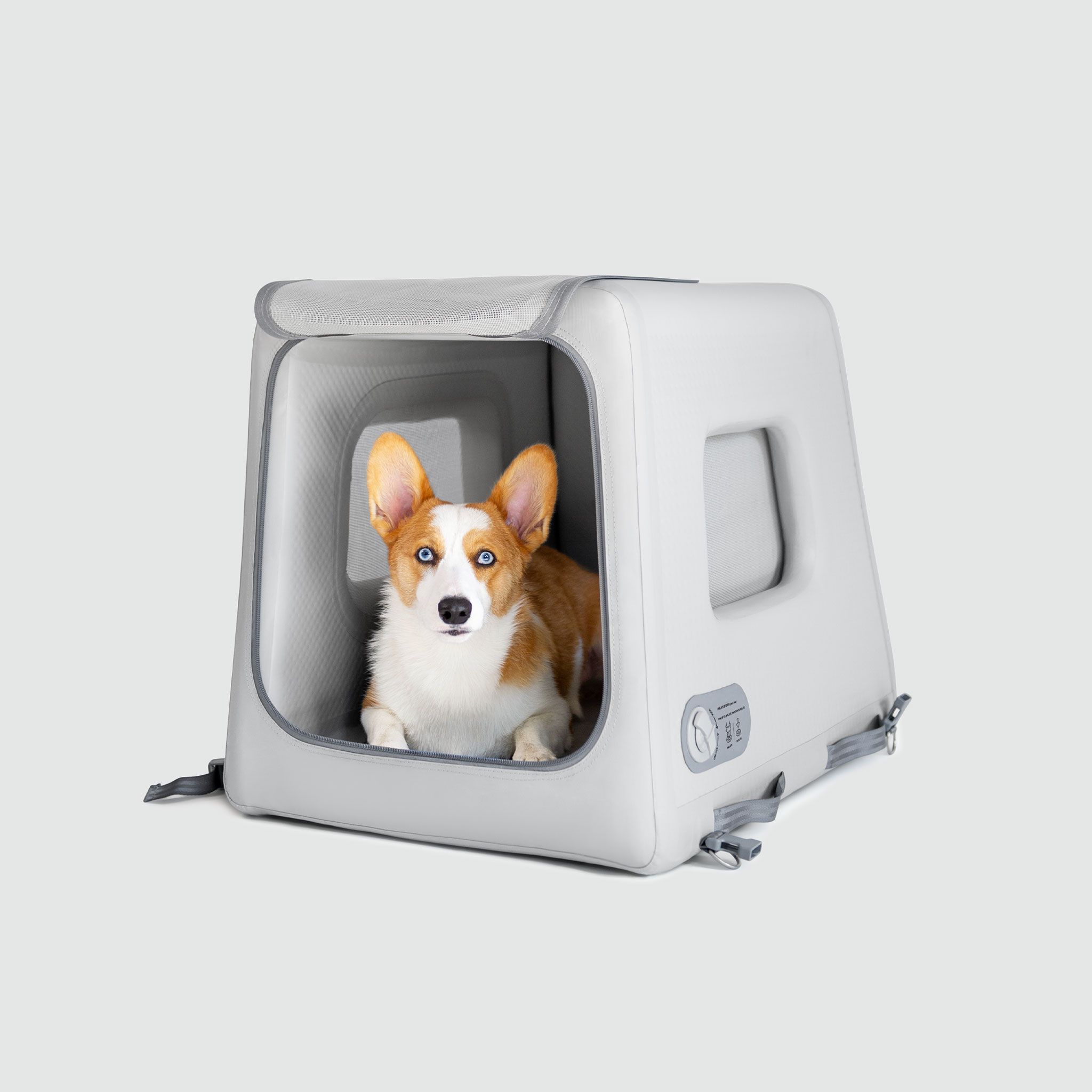 Puppy car fashion travel crate