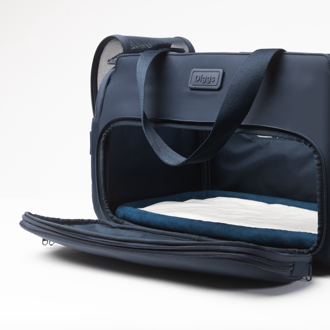Diggs Passenger Carrier