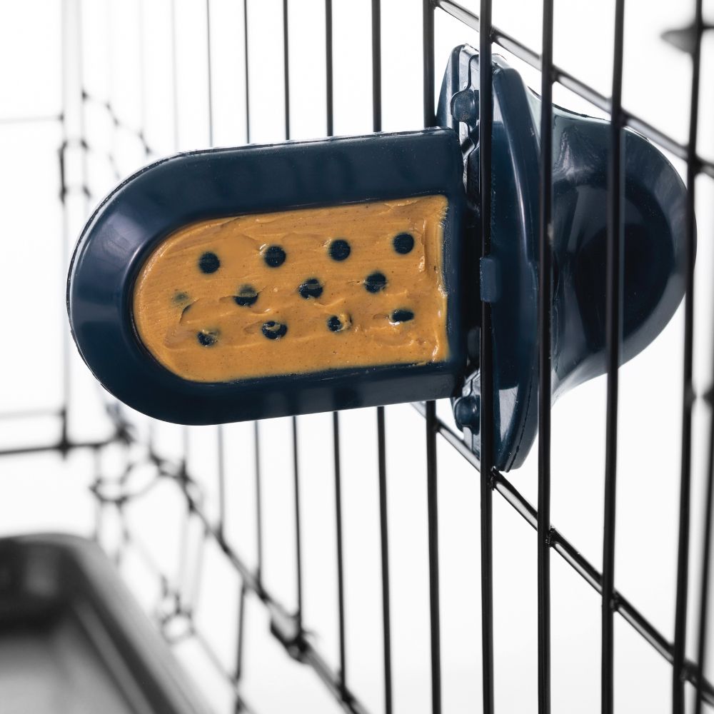 Groov Training Aid Diggs