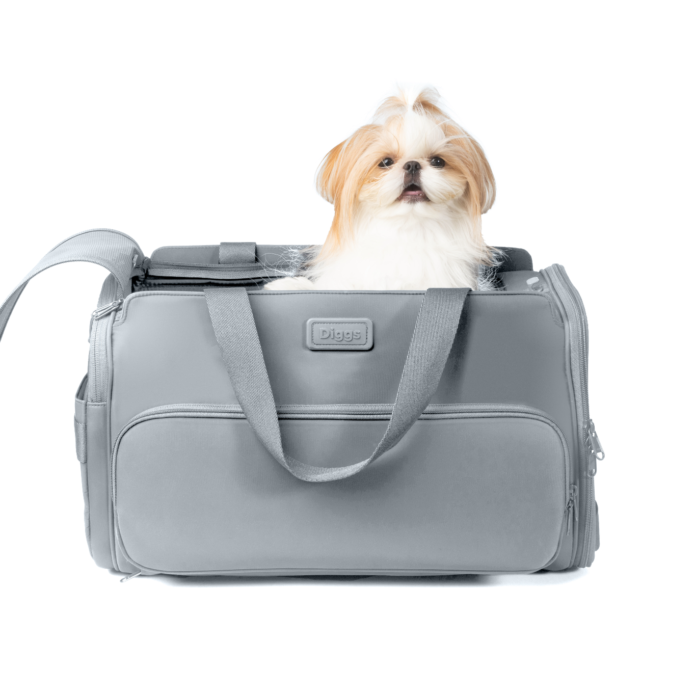 Diggs Passenger Carrier