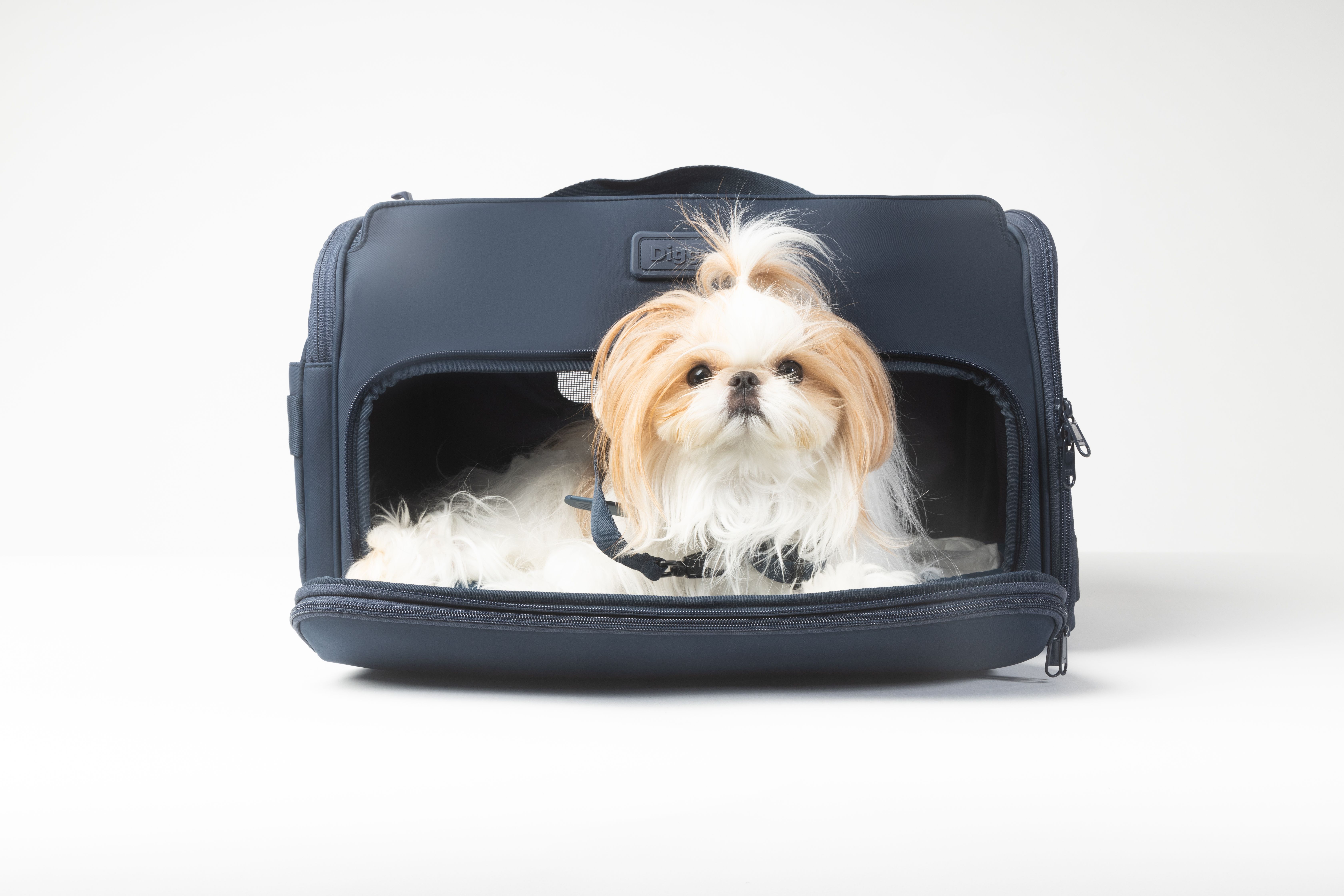 Dog Crate Size For Shih Tzu
