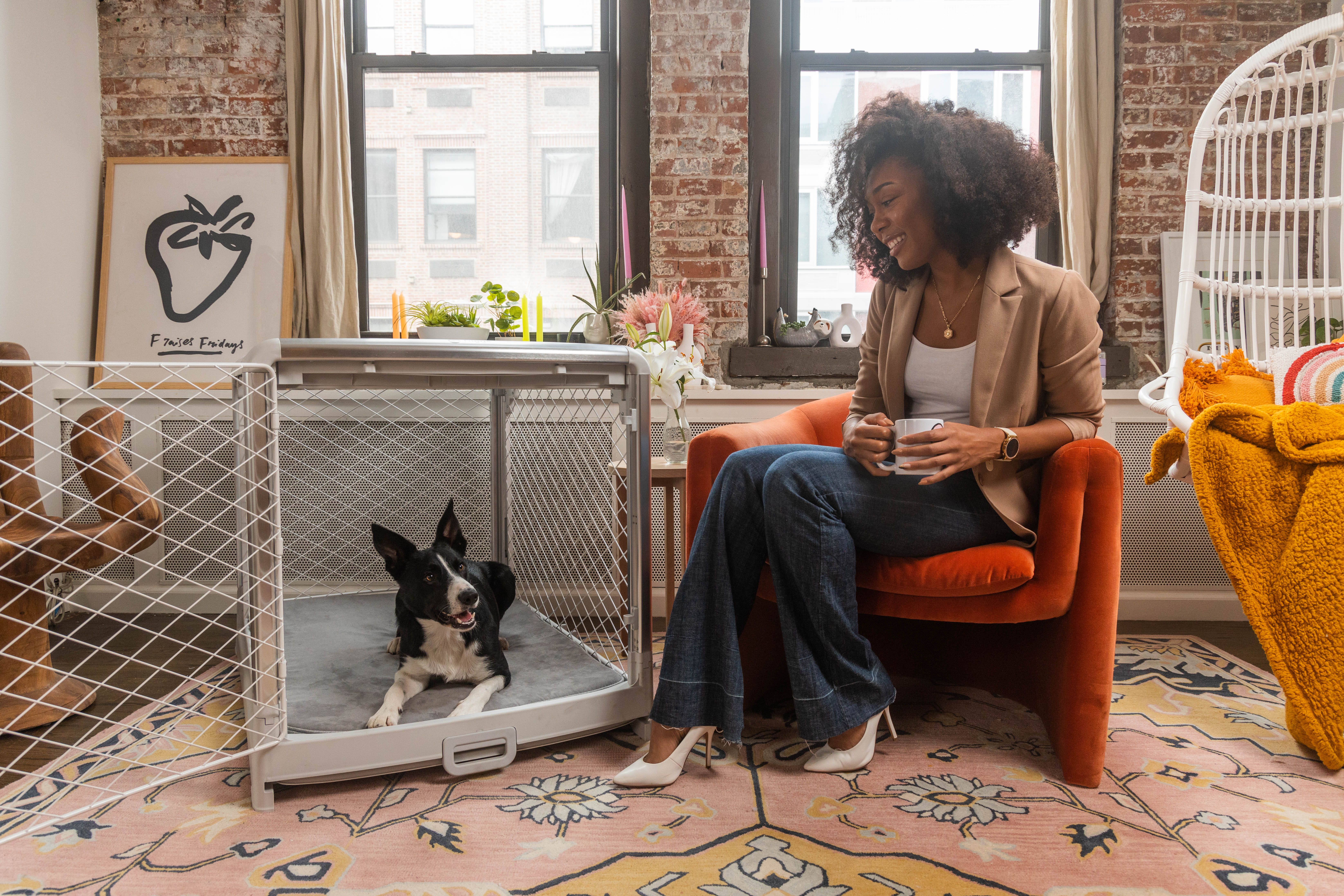 What Is Crate Training? Why Is It Important? Diggs