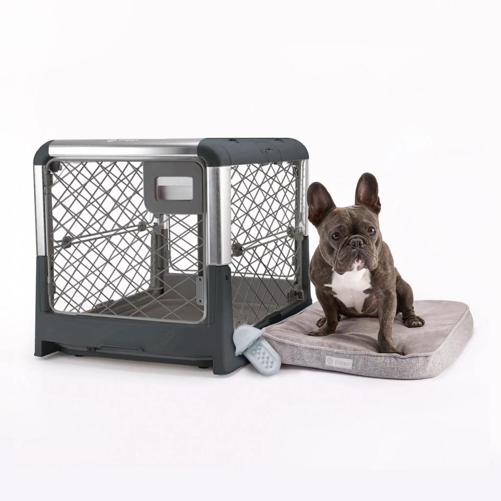 Dog Crate Anxiety 8 Ways To Reduce Anxiety Diggs