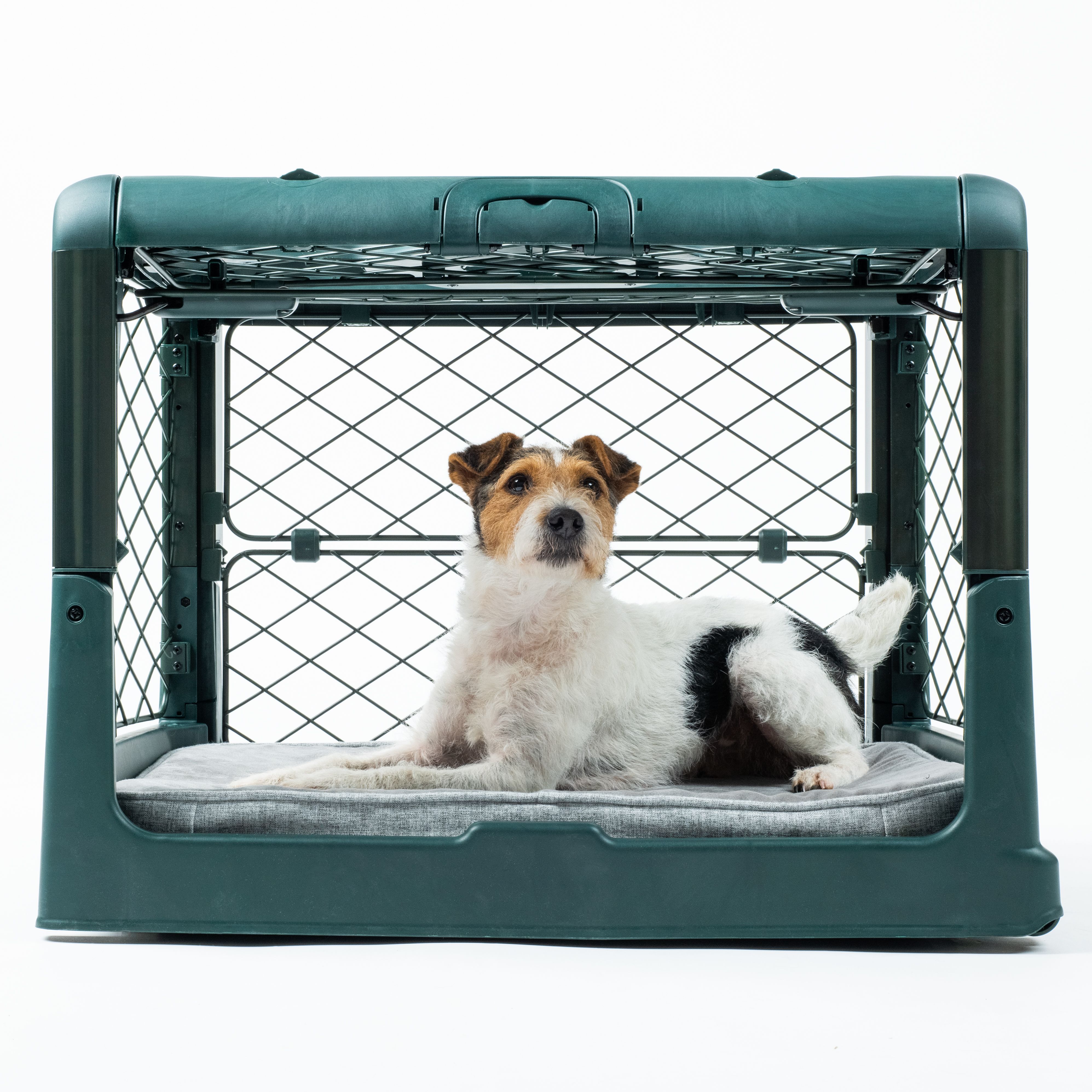 side open dog crate