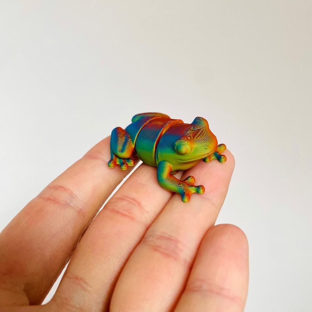 Hopscotch the Rainbow Tree Frog โ Articulated 3D Print โ photo 2