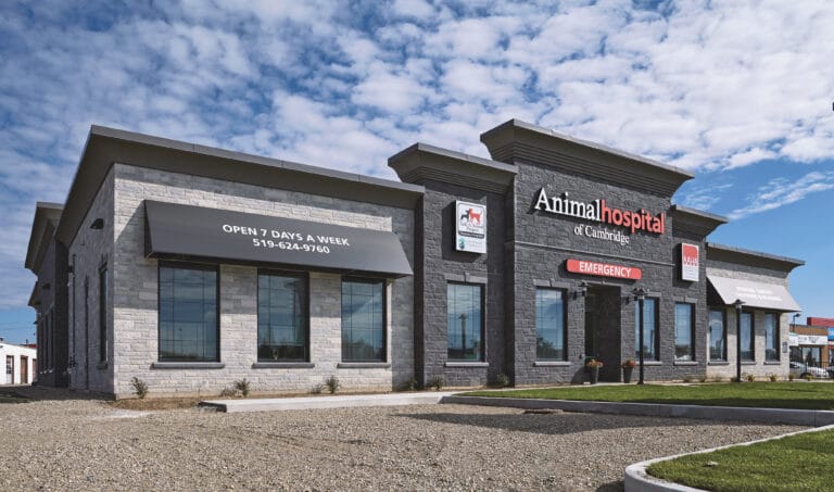 Brique Concept est la référence en produits d'aménagement paysager pour les professionnels et les particuliers