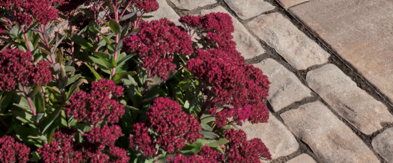 Brique Concept est la référence en produits d'aménagement paysager pour les professionnels et les particuliers