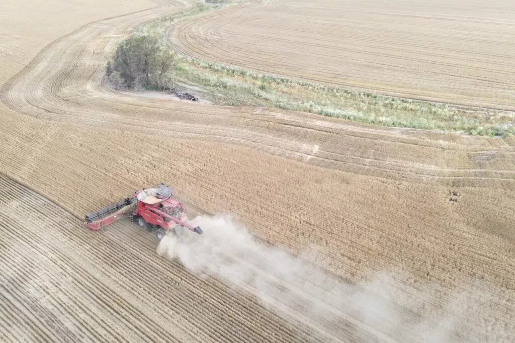 Wheat is harvested by a combine near Moree, Australia, 27 October 2020 (Photo: Reuters/Jill Gralow)