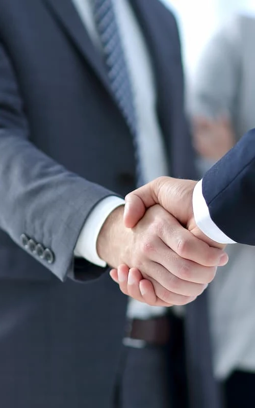 professionals shaking hands