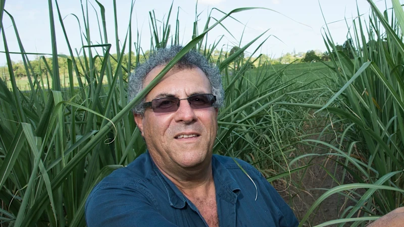 Trade minister rebukes India for sugar subsidy