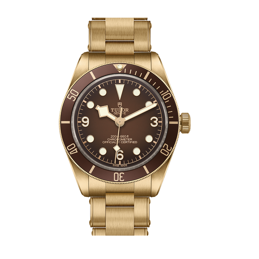 Tudor Black Bay 58 Bronze