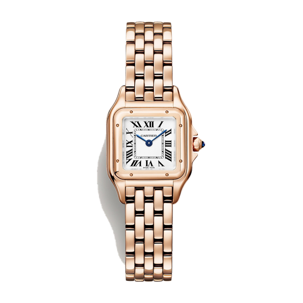 Cartier Panthère de Cartier Small Silver Rose Gold 22mm