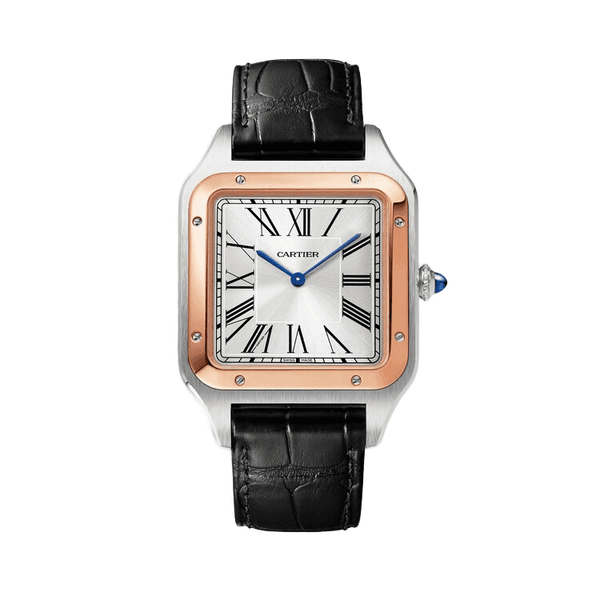 Cartier Santos Dumont Silver Leather 33.9mm
