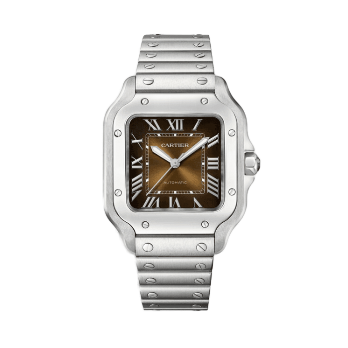 Cartier Santos De Cartier Chocolate Steel 35.1mm