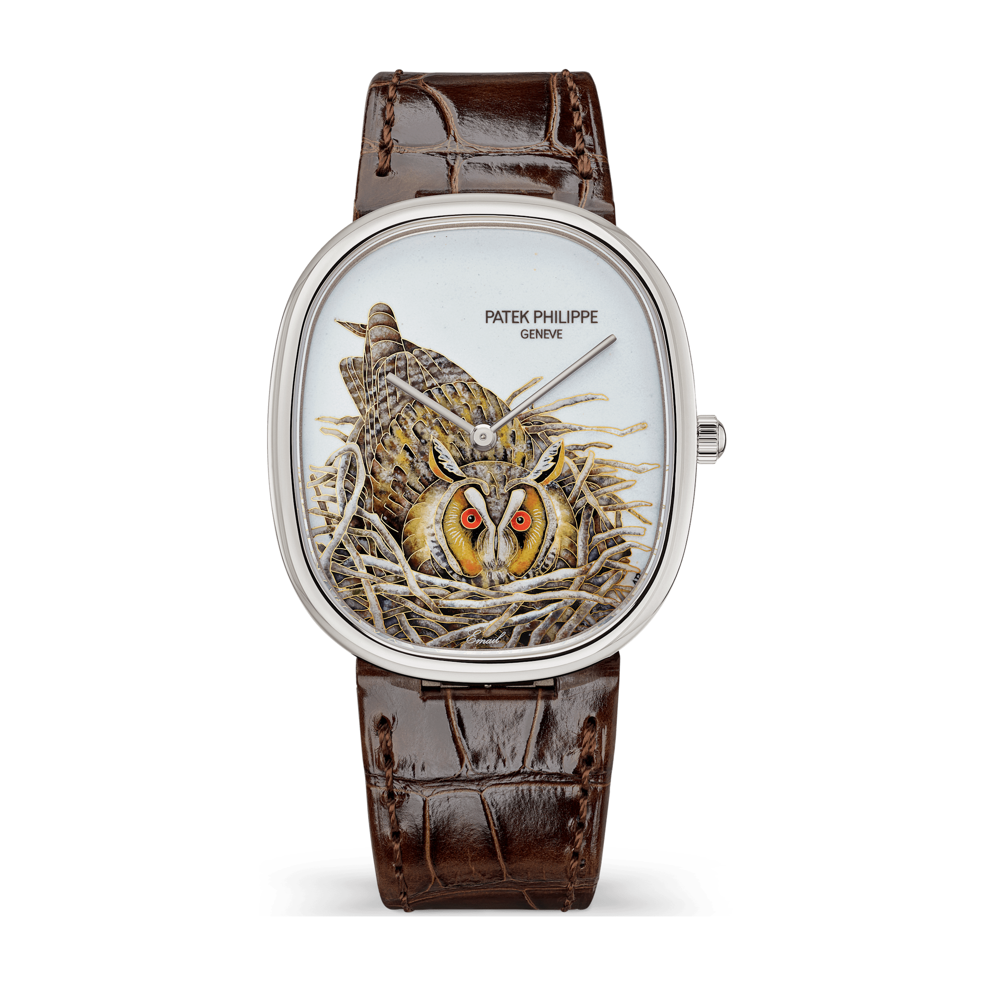 Patek Philippe "Brown Owl" Rare Handcrafts Golden Ellipse White Gold Alligator Leather 34.5 x 39.5mm