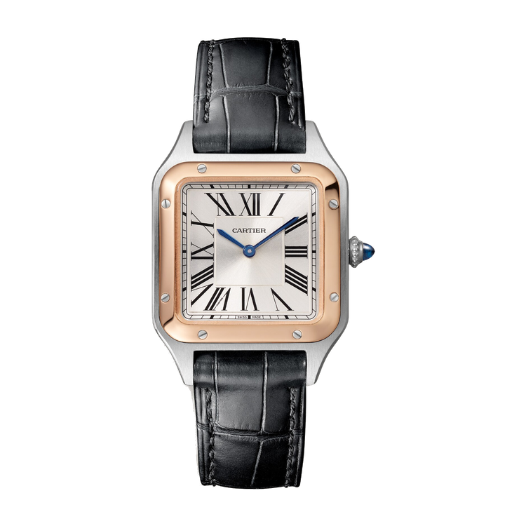 Cartier Santos-Dumont Small Silver Steel Alligator Leather 27.5mm