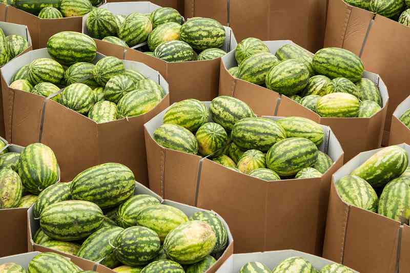 Photo of Gaylord boxes full of watermelons