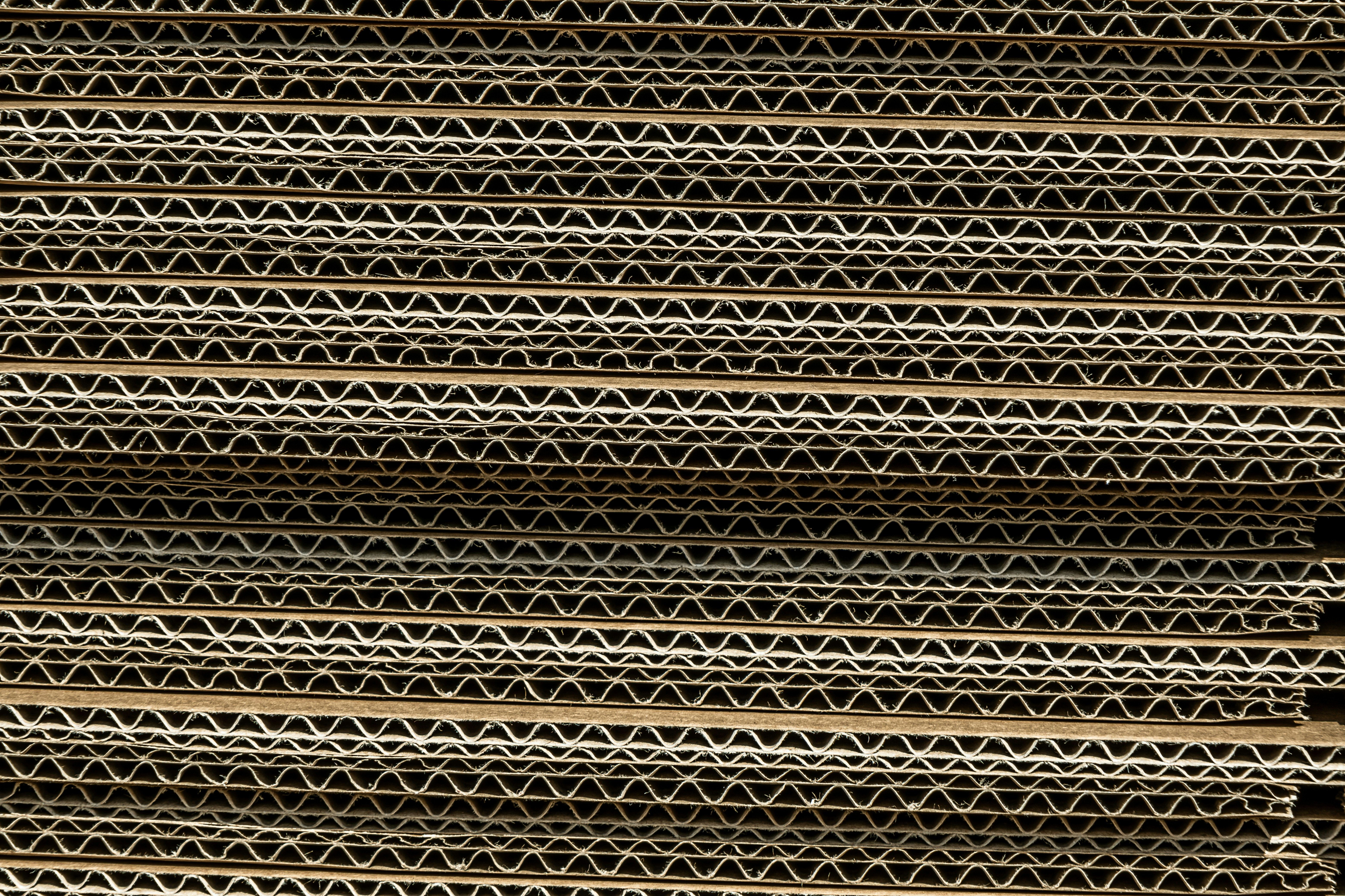 Close-up of corrugated cardboard showing the fluted medium layer