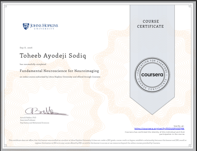 Fundamental Neuroscience for Neuroimaging