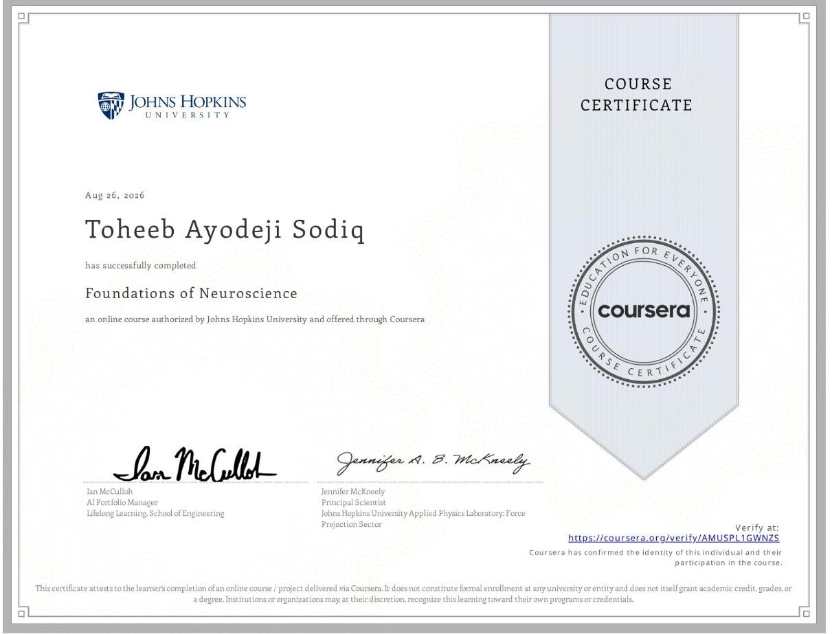 Foundations of Neuroscience