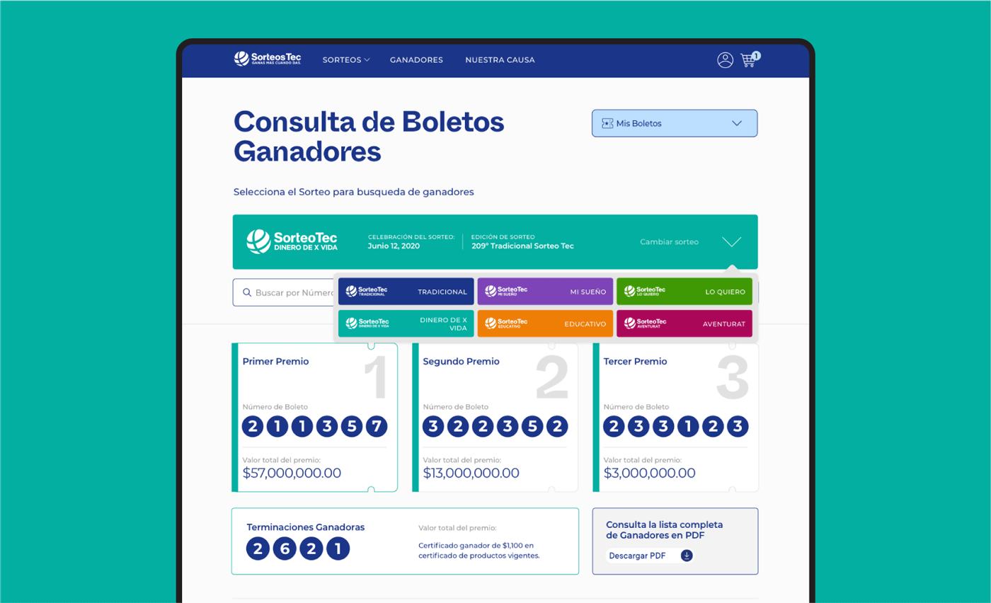 Project section image 4