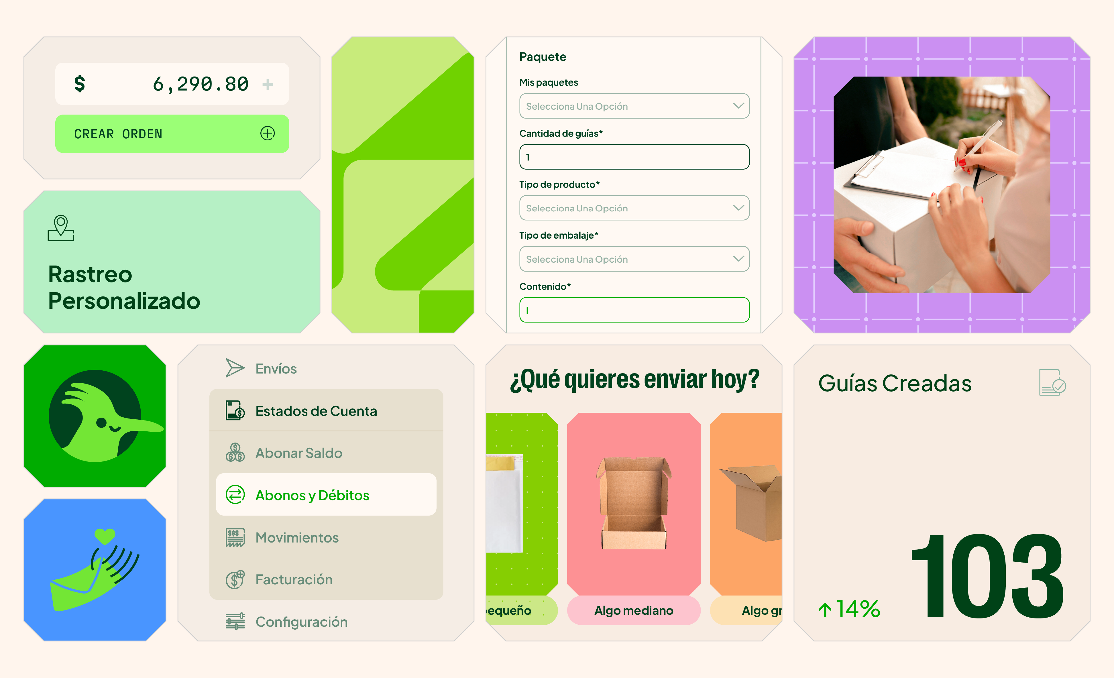 Project section image 1