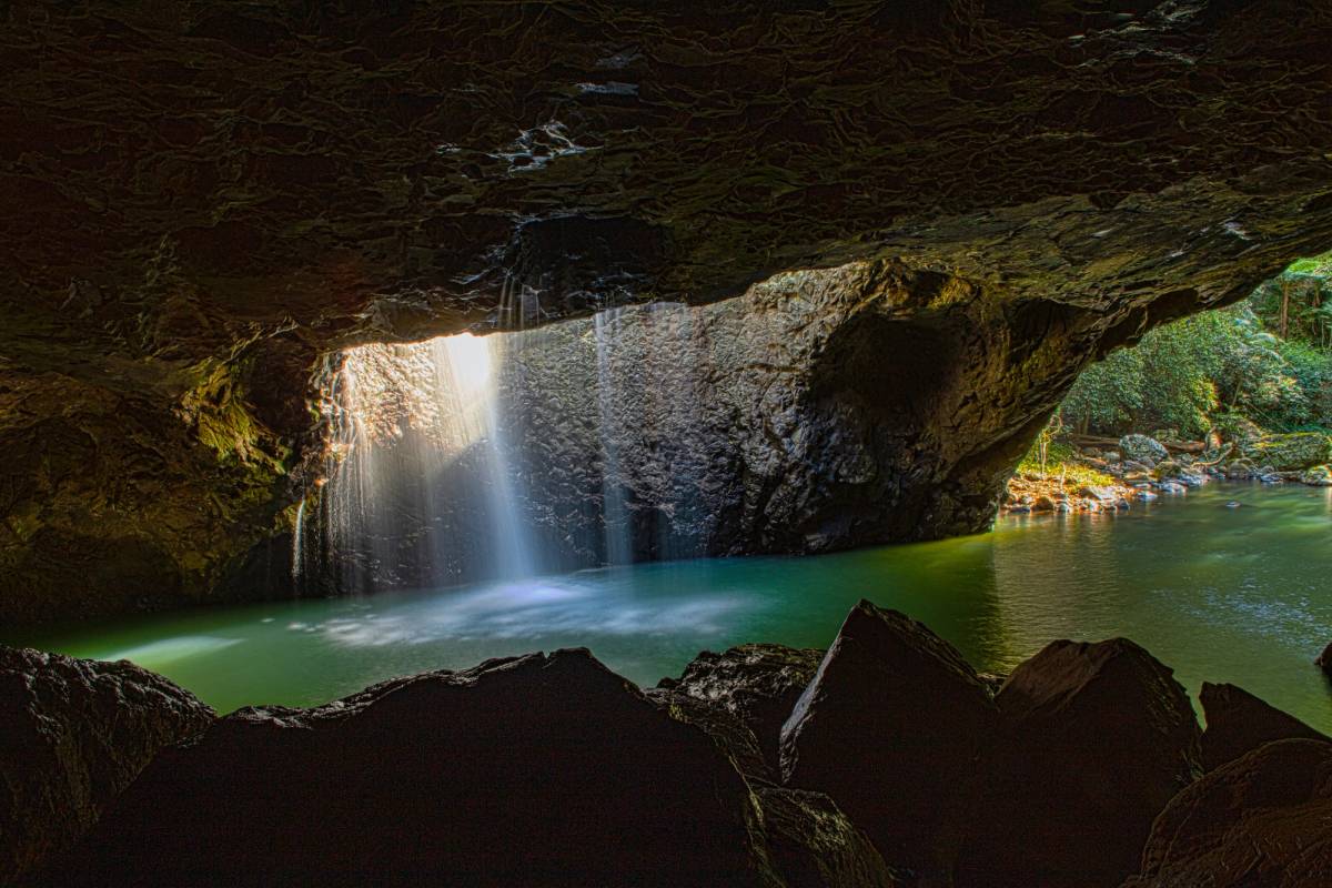 Springbrook National Park