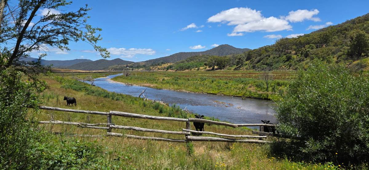 Howqua River