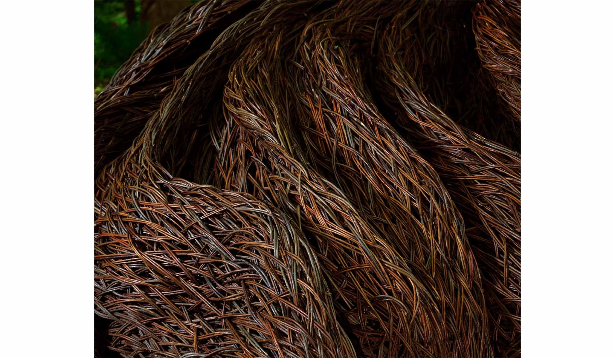 Detail of Laura Ellen Bacon’s Gathering My Thoughts , May 2025.