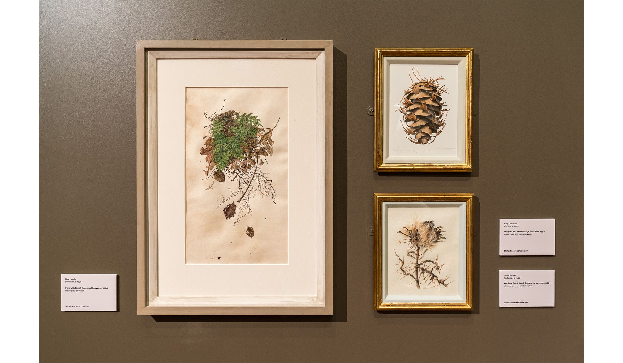 Installation view of Rory McEwen: A New Perspective on Nature .